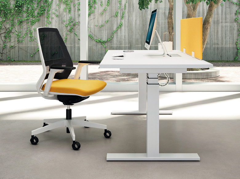 Lorem ipsum dolor sit